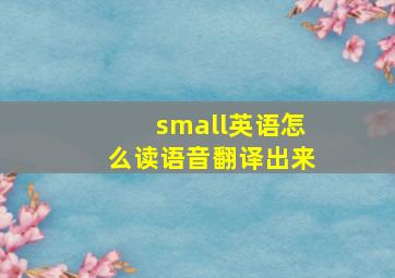 small英语怎么读语音翻译出来