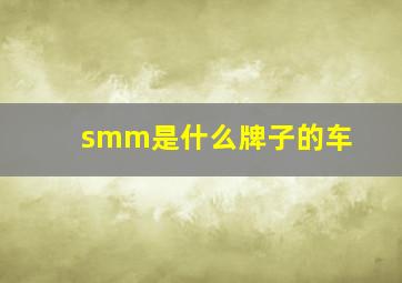 smm是什么牌子的车