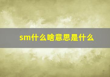 sm什么啥意思是什么