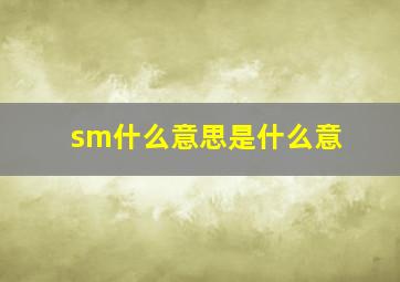 sm什么意思是什么意