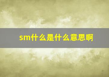 sm什么是什么意思啊