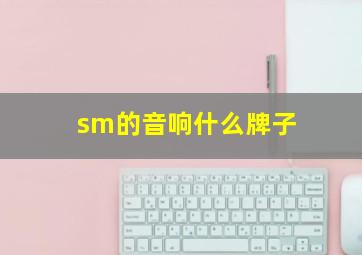 sm的音响什么牌子