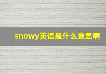 snowy英语是什么意思啊