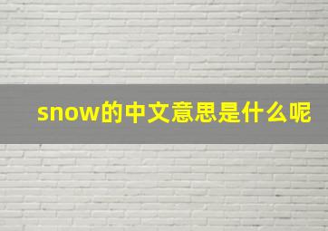 snow的中文意思是什么呢