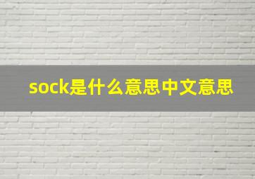 sock是什么意思中文意思