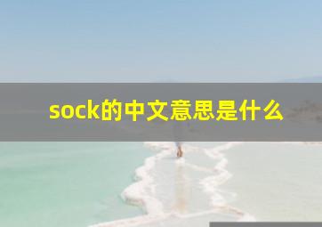 sock的中文意思是什么