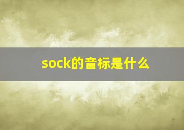 sock的音标是什么