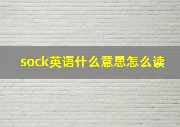 sock英语什么意思怎么读