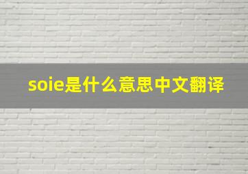 soie是什么意思中文翻译