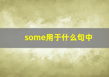 some用于什么句中