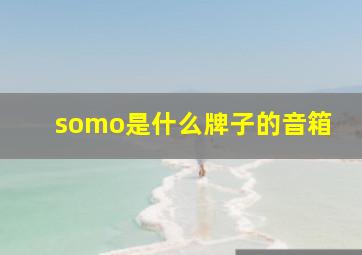 somo是什么牌子的音箱