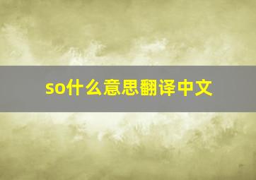 so什么意思翻译中文