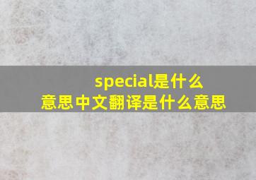 special是什么意思中文翻译是什么意思