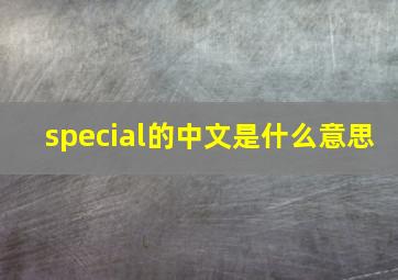 special的中文是什么意思