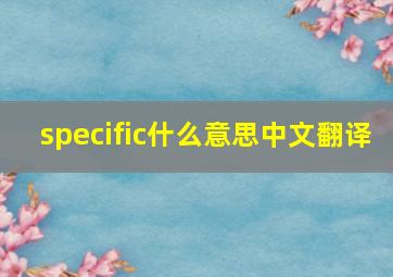 specific什么意思中文翻译