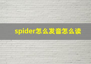 spider怎么发音怎么读