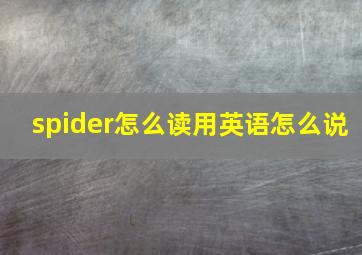 spider怎么读用英语怎么说