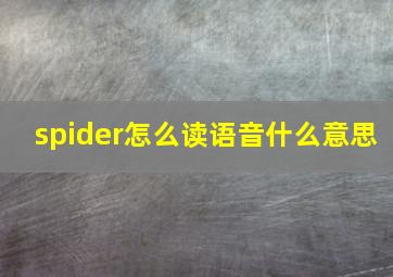 spider怎么读语音什么意思