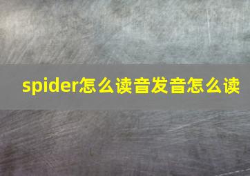 spider怎么读音发音怎么读