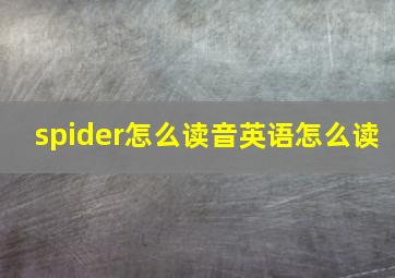 spider怎么读音英语怎么读