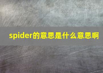 spider的意思是什么意思啊