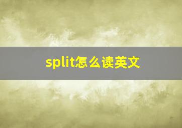 split怎么读英文