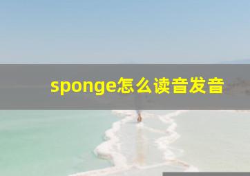 sponge怎么读音发音