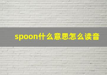 spoon什么意思怎么读音