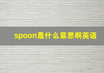 spoon是什么意思啊英语