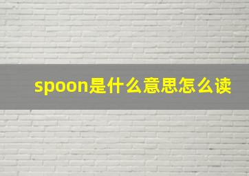 spoon是什么意思怎么读