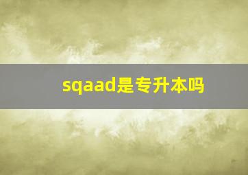 sqaad是专升本吗