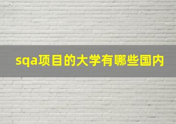 sqa项目的大学有哪些国内