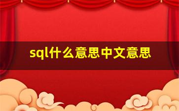 sql什么意思中文意思