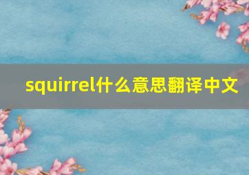 squirrel什么意思翻译中文