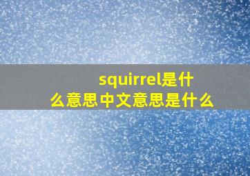 squirrel是什么意思中文意思是什么