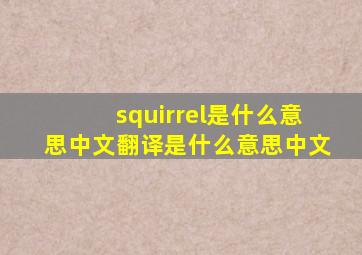 squirrel是什么意思中文翻译是什么意思中文