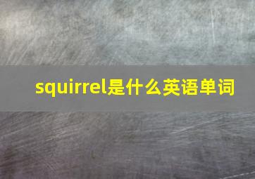 squirrel是什么英语单词