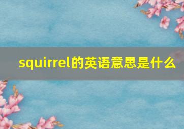 squirrel的英语意思是什么