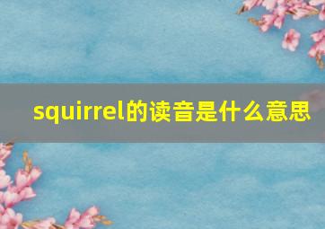 squirrel的读音是什么意思