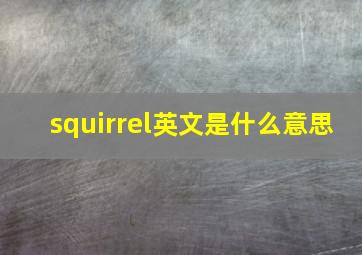 squirrel英文是什么意思