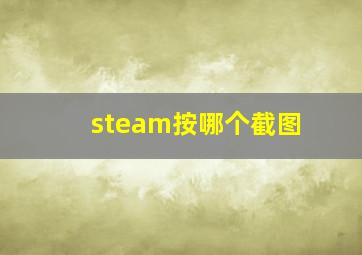 steam按哪个截图