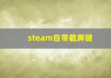 steam自带截屏键