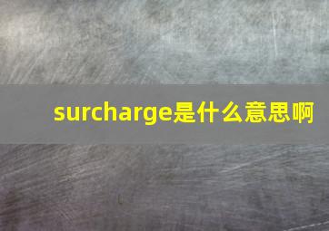 surcharge是什么意思啊