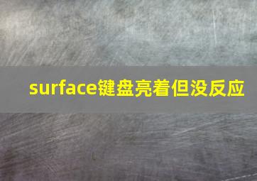 surface键盘亮着但没反应