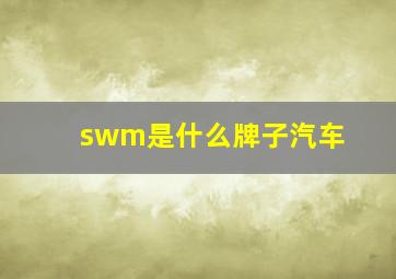 swm是什么牌子汽车