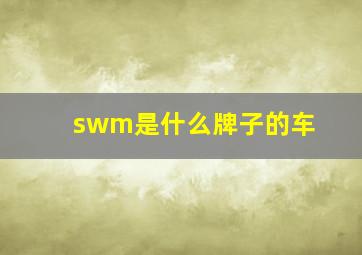 swm是什么牌子的车