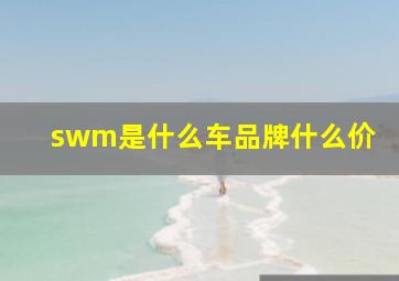 swm是什么车品牌什么价