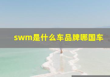 swm是什么车品牌哪国车