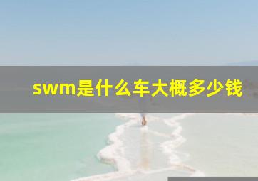 swm是什么车大概多少钱