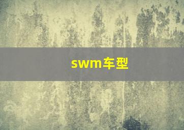 swm车型